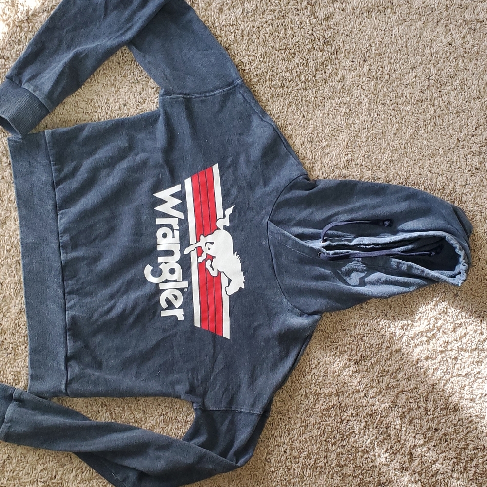 🚫SOLD🚫Retro Wrangle cropped hoodie